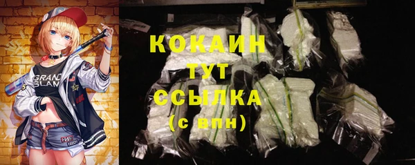mdpv Белокуриха