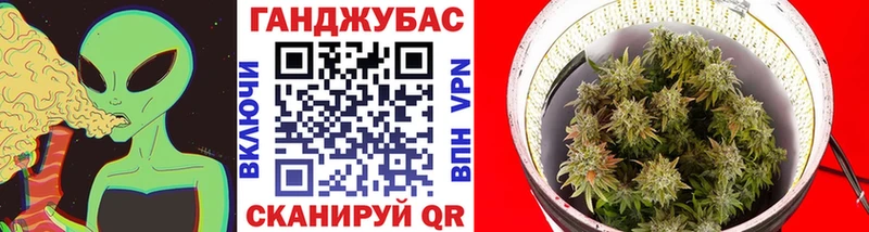 цена наркотик  Макаров  Канабис план 